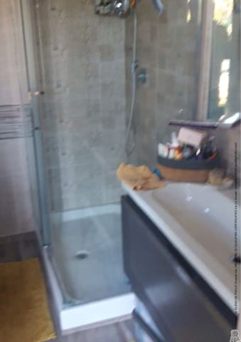 Photo of the lot 3