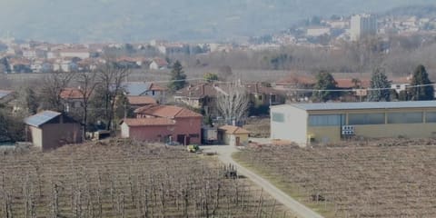 Foto: Altra categoria a San Secondo di Pinerolo (TO)