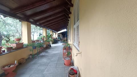 Photo: Altra categoria in Samugheo (OR)