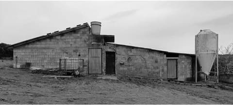 Photo: Altra categoria in Samugheo (OR)