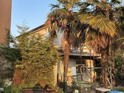Photo of the lot 2