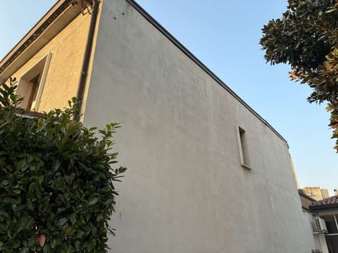 Photo of the lot 3