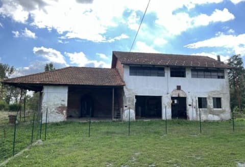 Photo of the lot 1