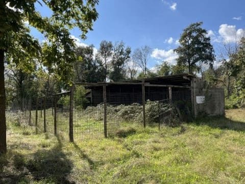 Photo of the lot 3