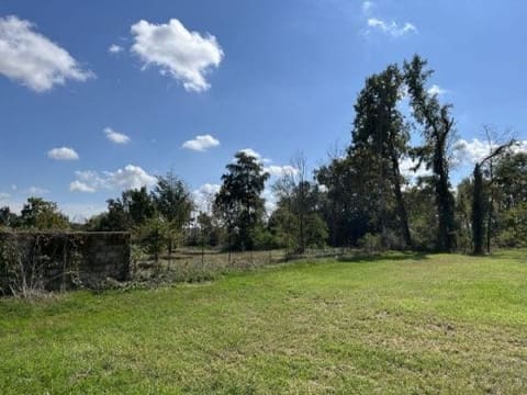 Photo of the lot 4