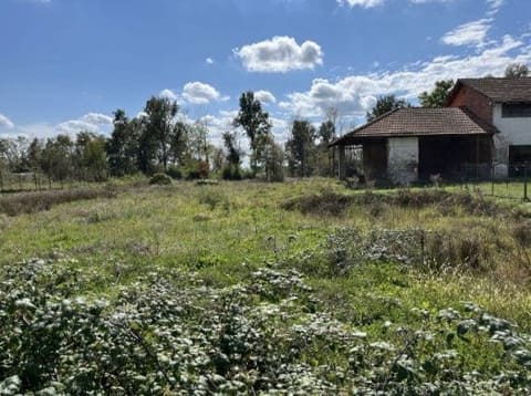 Photo of the lot 5