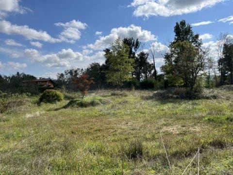 Photo of the lot 6