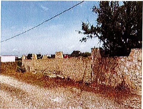 Foto del lotto 2