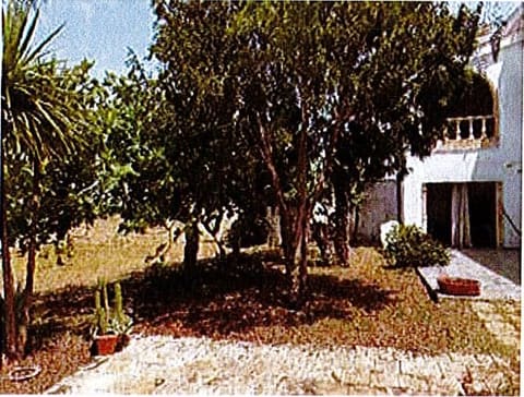 Foto del lotto 3