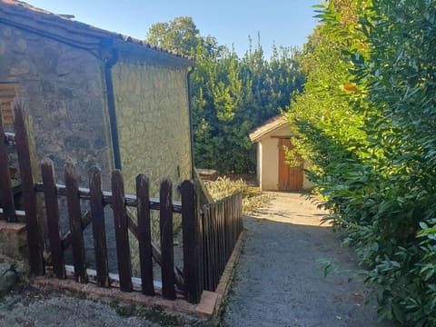 Photo of the lot 3