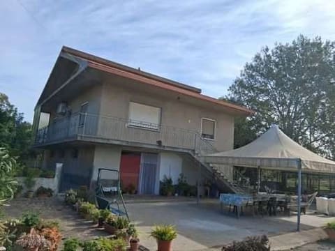 Photo of the lot 2