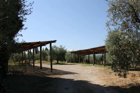 Photo of the lot 2