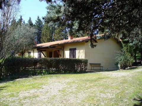 Photo of the lot 3