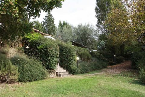 Photo of the lot 4