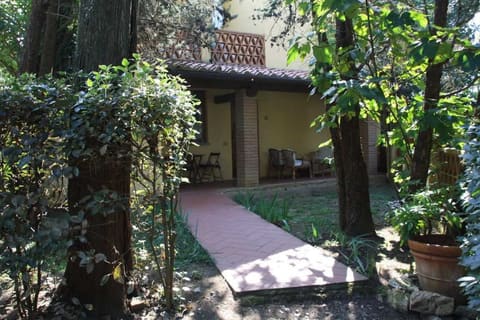 Photo of the lot 7
