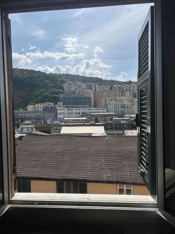 Photo of the lot 4