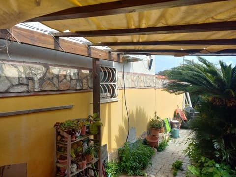 Photo of the lot 2