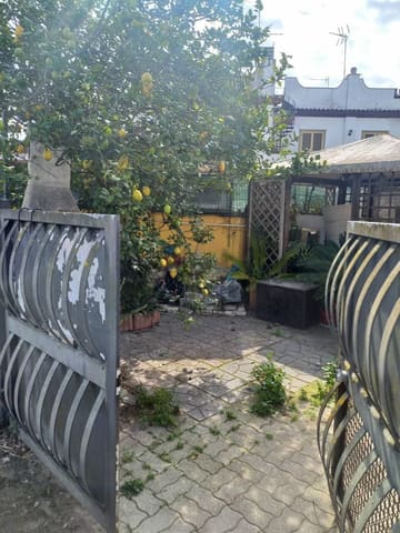 Photo of the lot 6