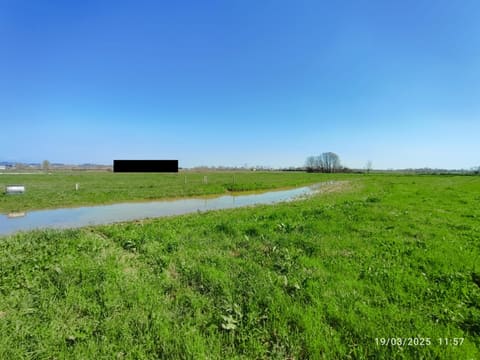 Photo: Altra categoria in Volta Mantovana (MN)