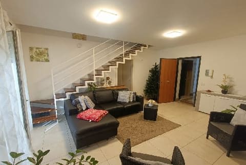 Photo of the lot 2
