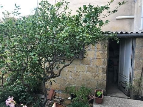 Photo: Immobile residenziale in Partanna (TP)
