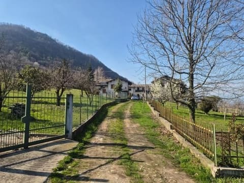 Photo of the lot 1