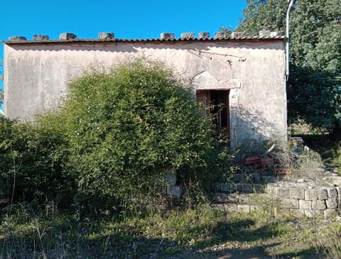 Foto del lotto 7
