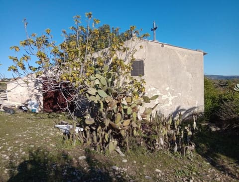 Foto del lotto 8