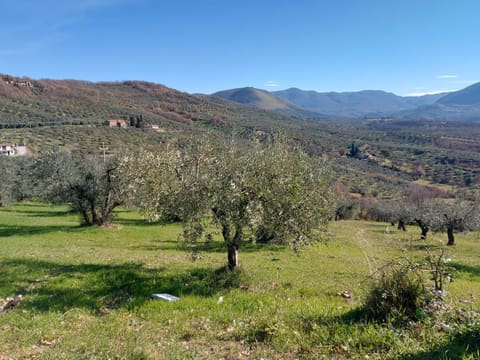 Photo: Altra categoria in Poggio Nativo (RI)