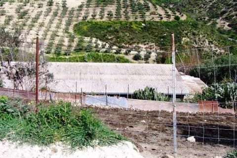 Photo: Altra categoria in Caltabellotta (AG)