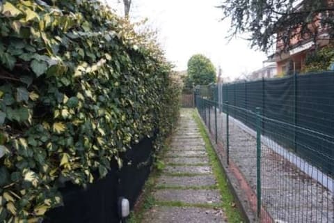 Photo of the lot 2