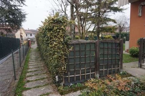 Photo of the lot 3