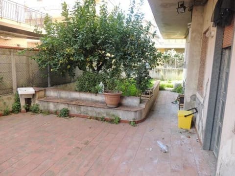 Photo of the lot 6