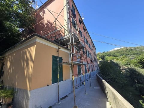 Photo of the lot 1