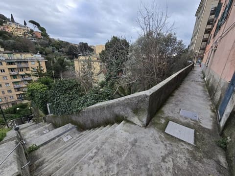 Photo of the lot 3