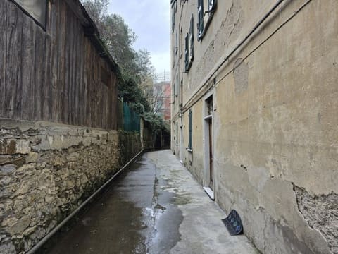 Photo of the lot 4