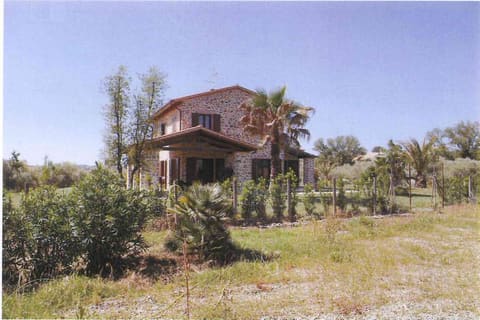 Photo of the lot 3