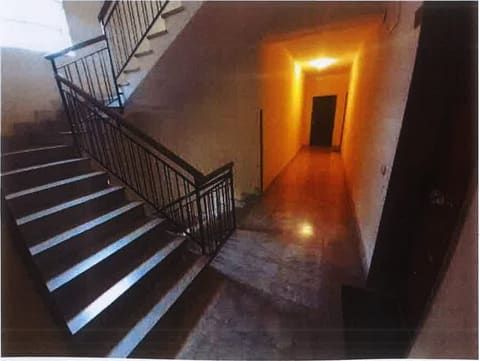 Photo of the lot 3