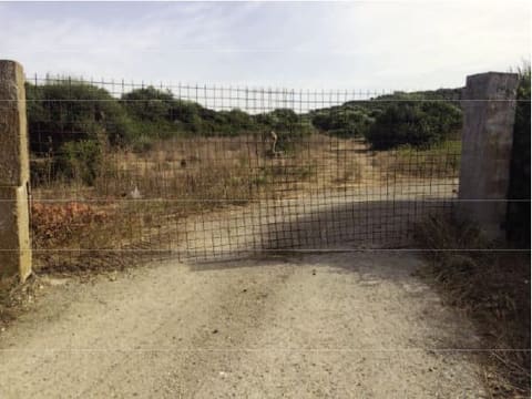 Photo of the lot 5