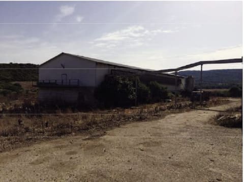 Photo of the lot 5
