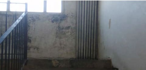 Photo of the lot 3