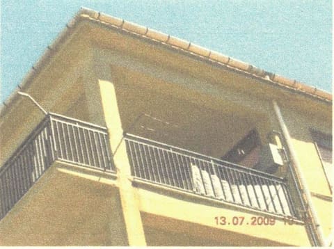 Photo of the lot 3