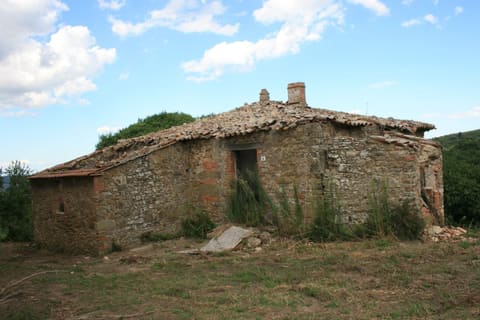 Photo: Altra categoria in San Venanzo (TR)