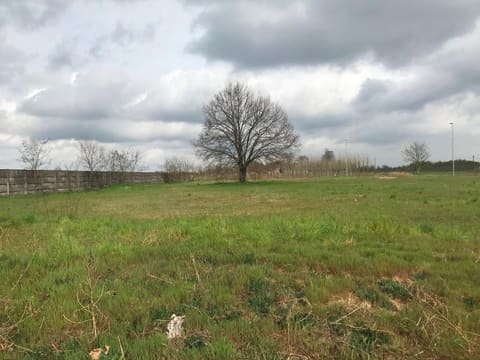 Photo: Altra categoria in Canneto sull'Oglio (MN)