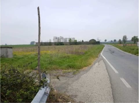 Photo: Altra categoria in Alessandria (AL)