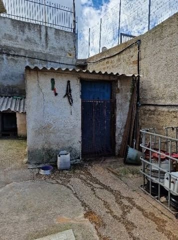 Photo of the lot 3
