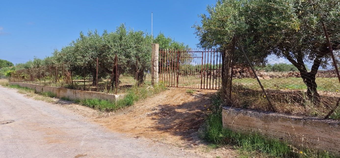 Foto del lotto: Altra categoria a Partinico