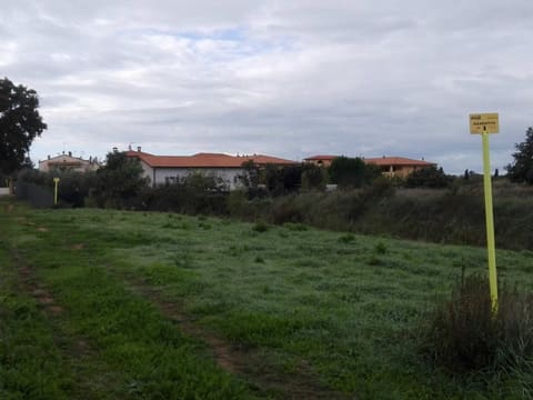 Photo of the lot 1