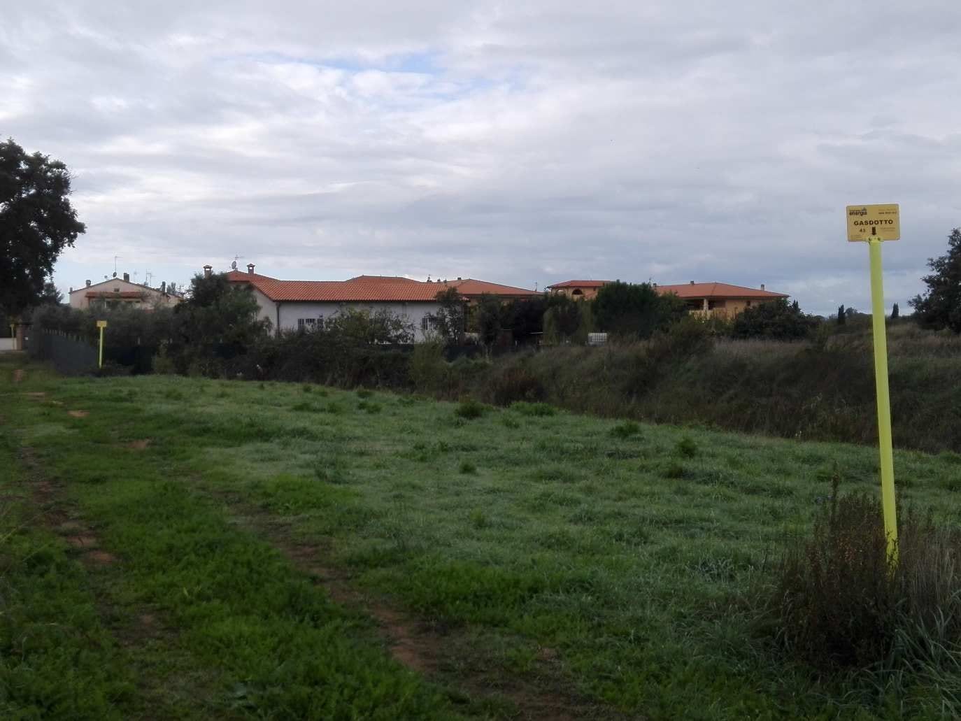 Photo of the lot: Altra categoria in Scarlino