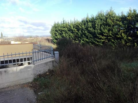 Photo of the lot 4